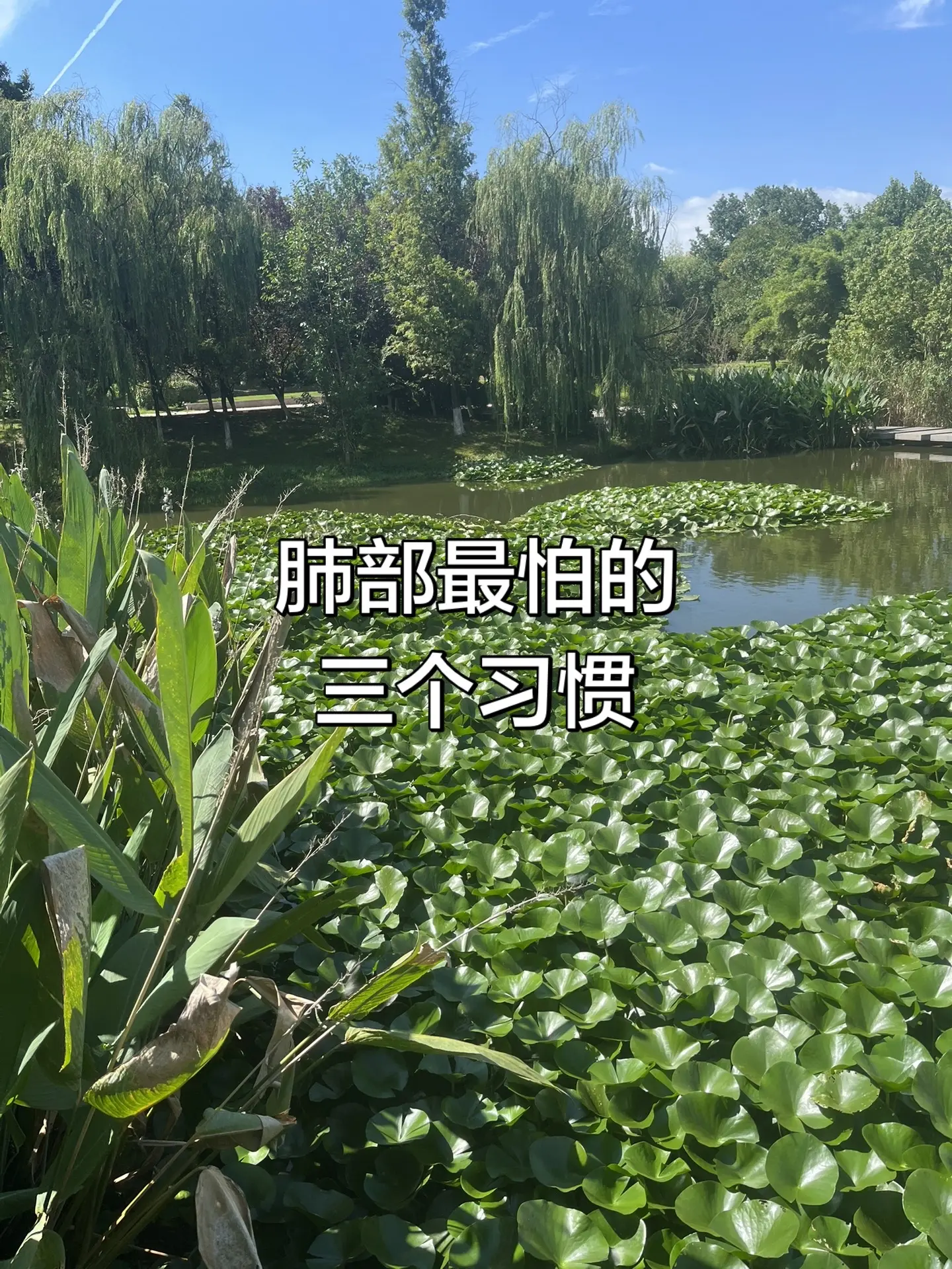 马刺还是太年轻了，关键失误&amp;绝杀不中，马刺主场再负尼克斯错失绝杀 ＃尼克斯105比104险胜马刺＃尼克斯2比0马刺 文班亚马