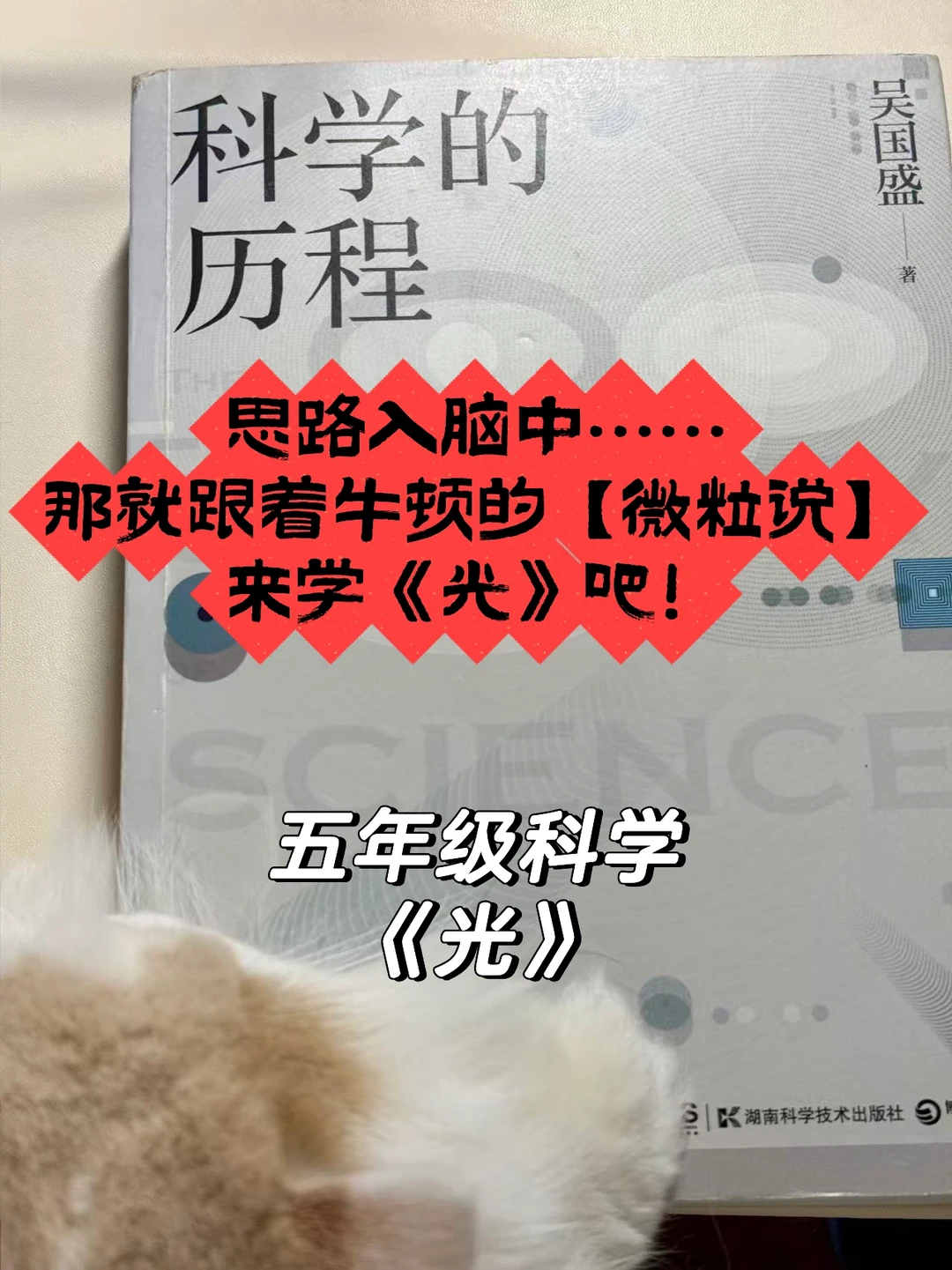 把纠正“微粒说”的任务留给物理老师🤪