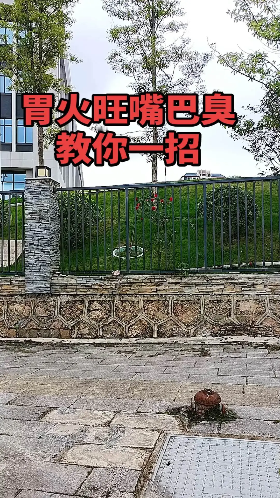 第二届