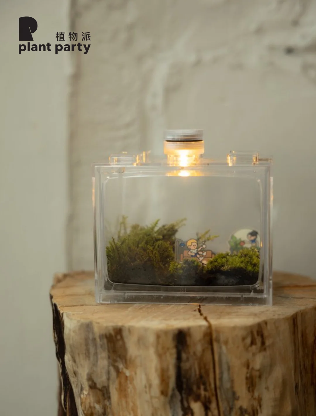 苔藓公寓✨安静长大的人，都会自带一束光