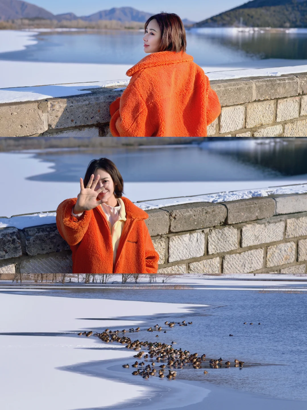 雪一落就美成了诗 | 冬季拍出最美的风景