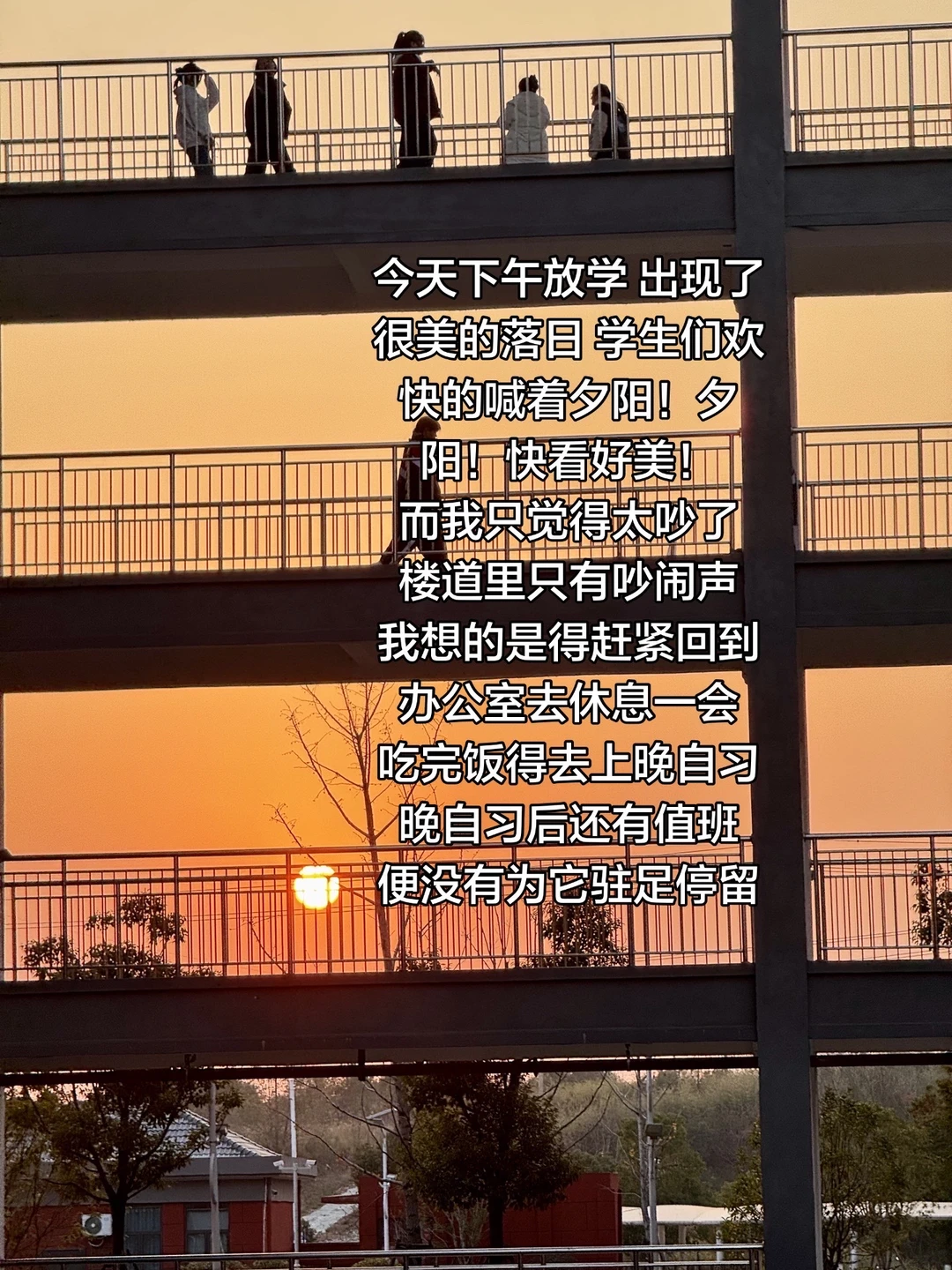 工作以后 每天重复着同样的事情 也就缺乏了随时停留和休息的勇气