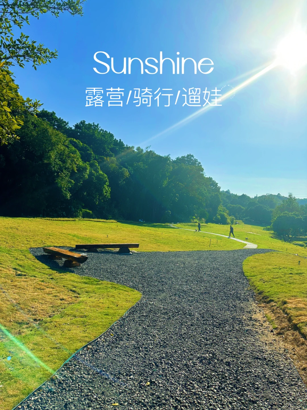 在无人的草坪公园里，露营晒太阳！舒服惬意