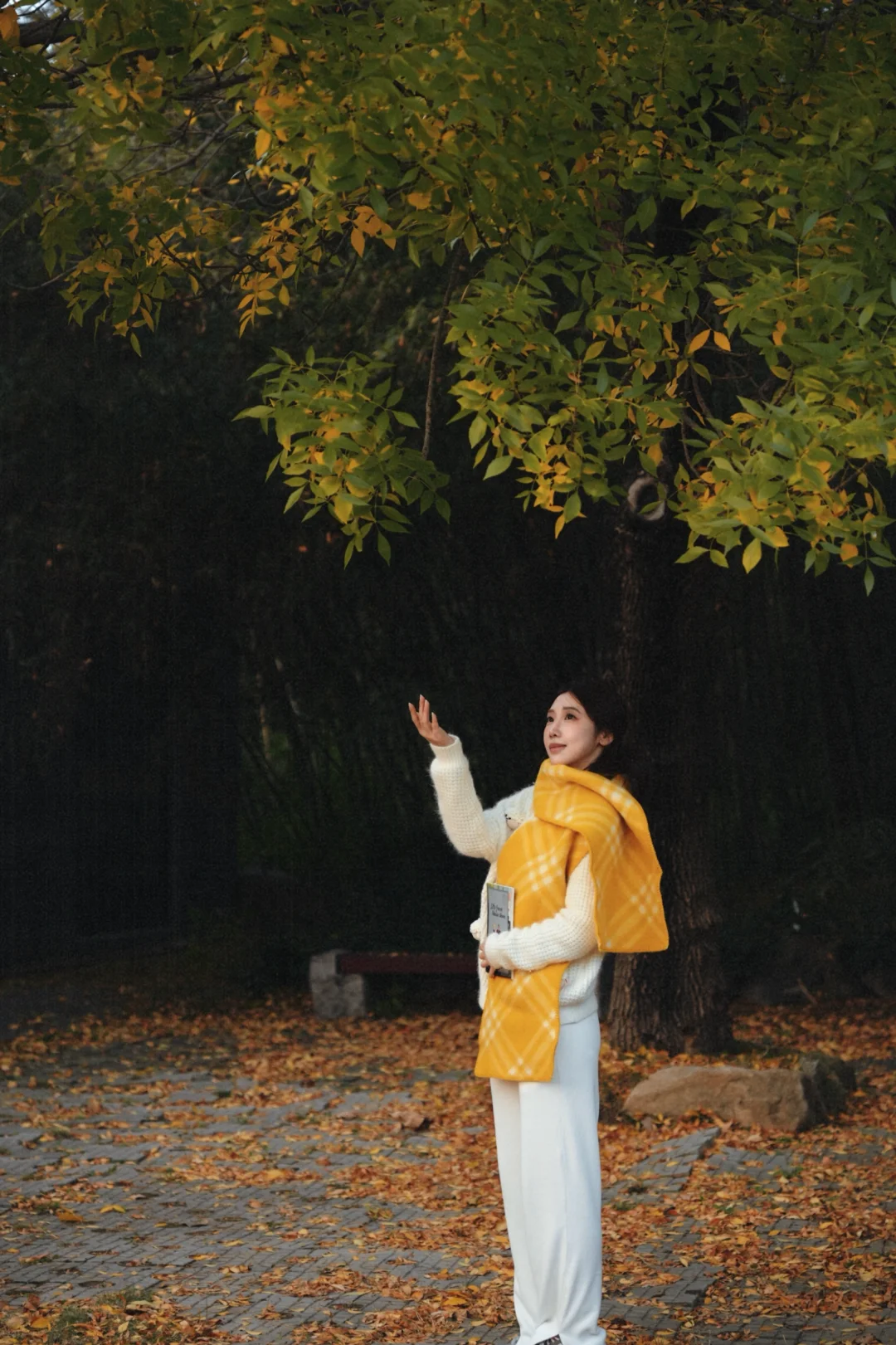 在这个落叶像雪的季节🍂