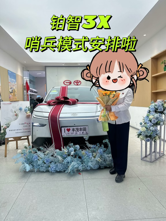 🚨2026款铂智3X哨兵模式上线！离车也能帮你