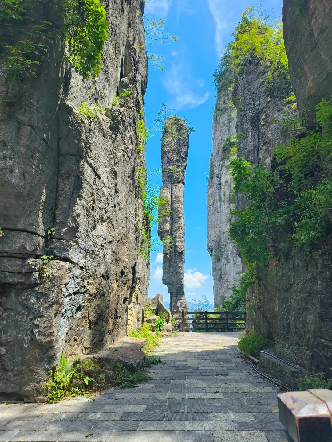 为了这一柱香，我开车600km爬山3h，也值