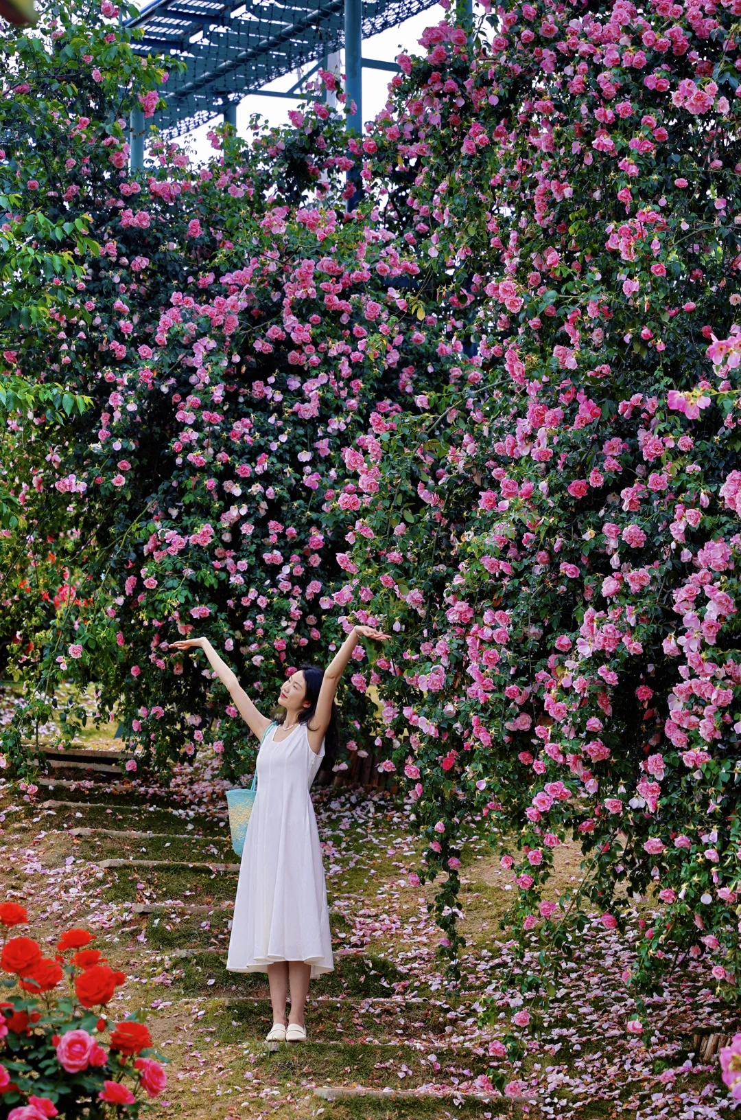 哦莫！这么漂亮的地方！！真的在成都！！！