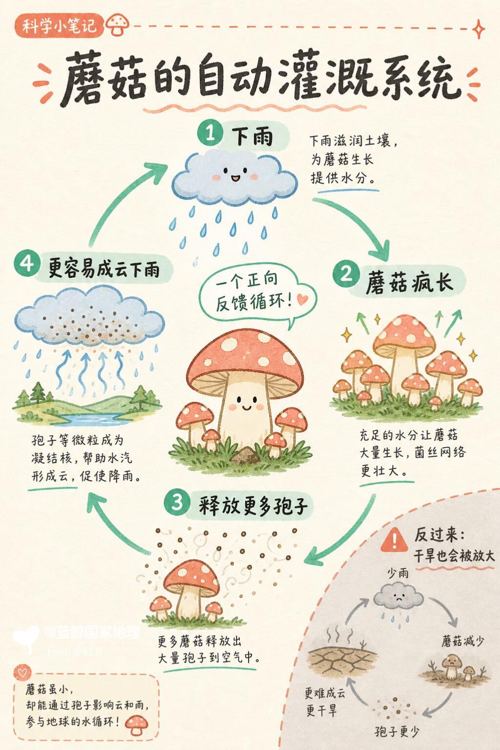 自然科普｜蘑菇求雨蘑菇散出的孢子表层有吸湿糖类。孢子升到高空，充当凝结核，吸附水汽凝结成水珠，进而形成降雨。 ​​​
