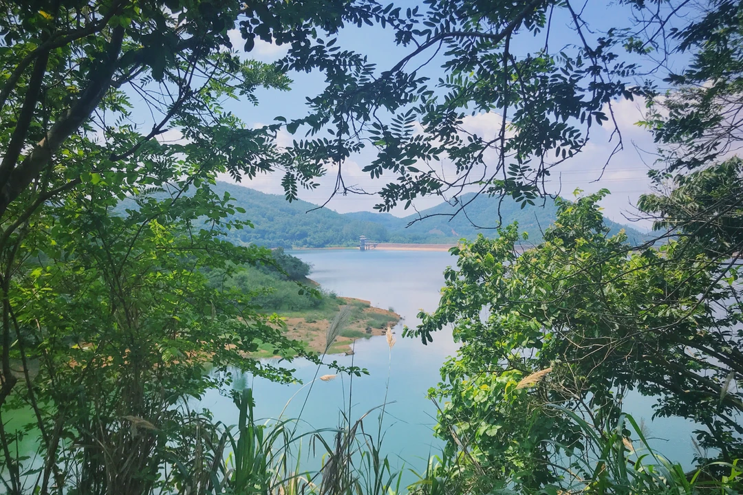 东莞清溪森林公园