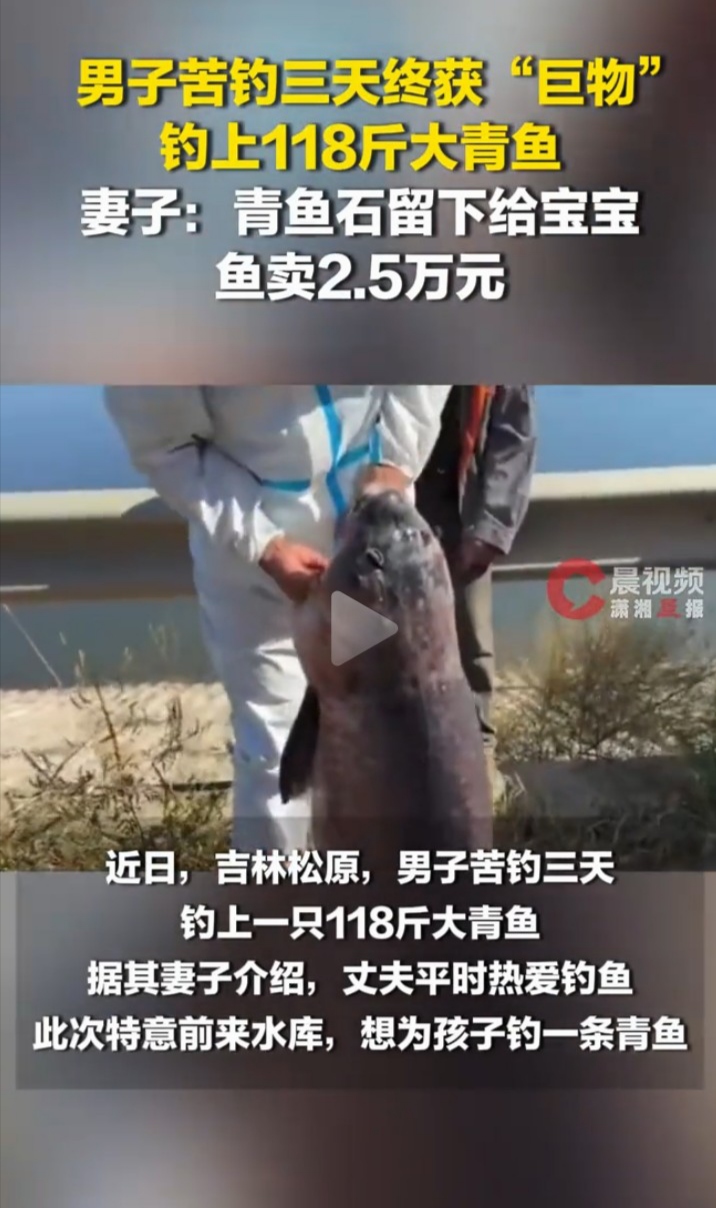 吉林松原一名男子，在水库苦守整整三天，最终钓上来一条重达118斤的巨型大青鱼，这件事在钓友圈子里传开，引来不少人围观议论。
 
男子本身就很喜欢钓鱼，这次专程来到水库，心里有一个明确想法，想钓一条青鱼，取出青鱼石留给自家孩子佩戴。民间一直有相关说法，青鱼