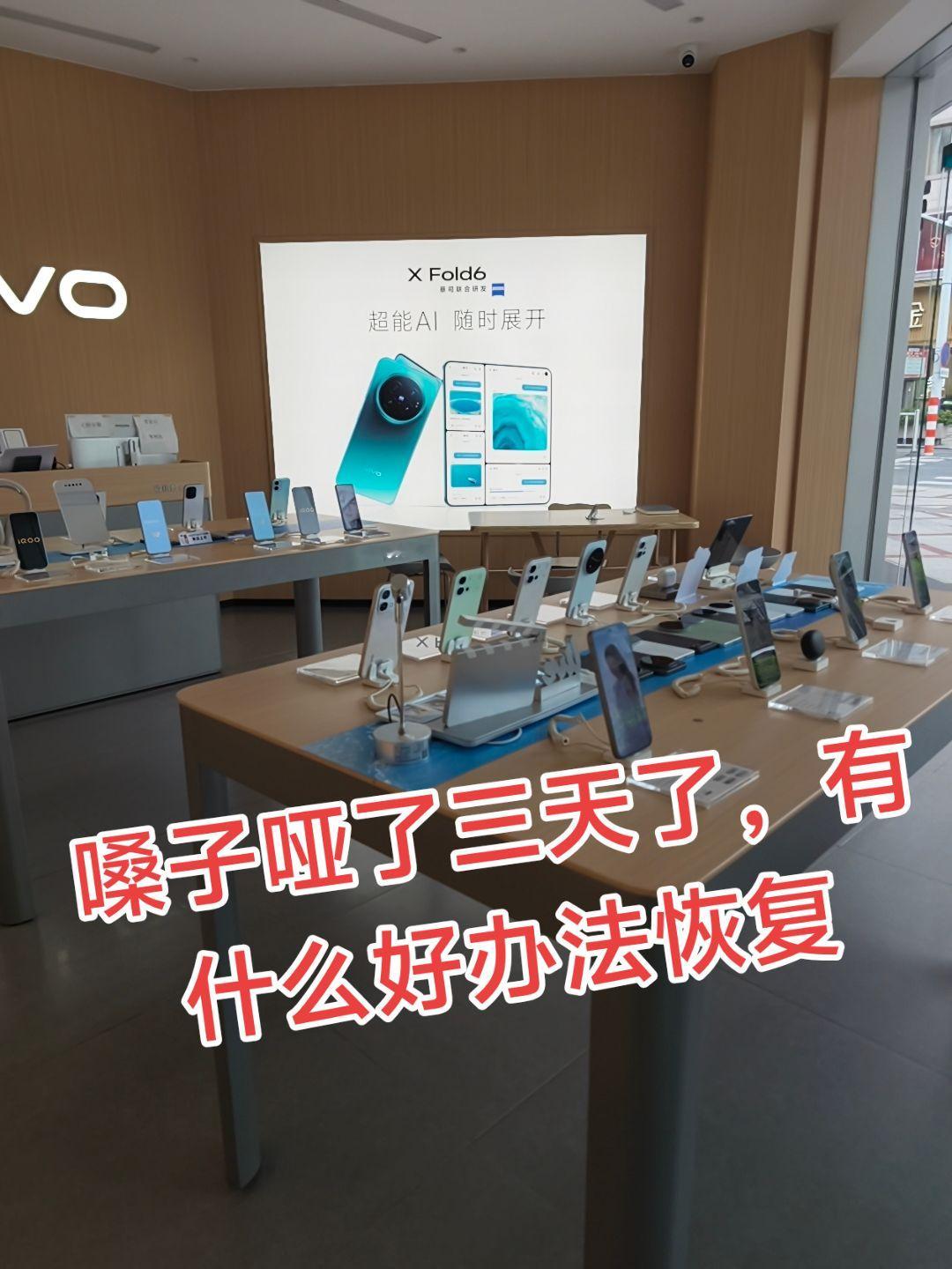 vivo vivoX500系列