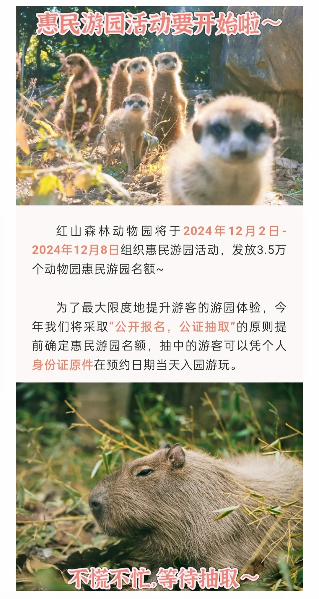 🔥红山森林动物园2024年免费开放日来啦！