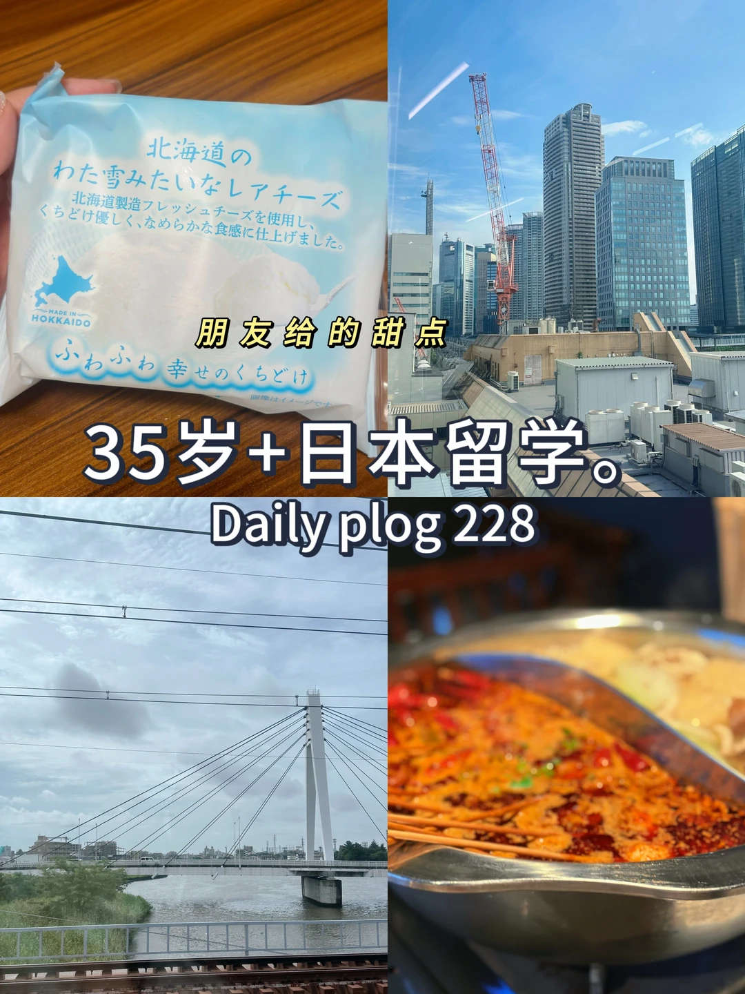35岁+日本留学🥲人生不得不面对的别离