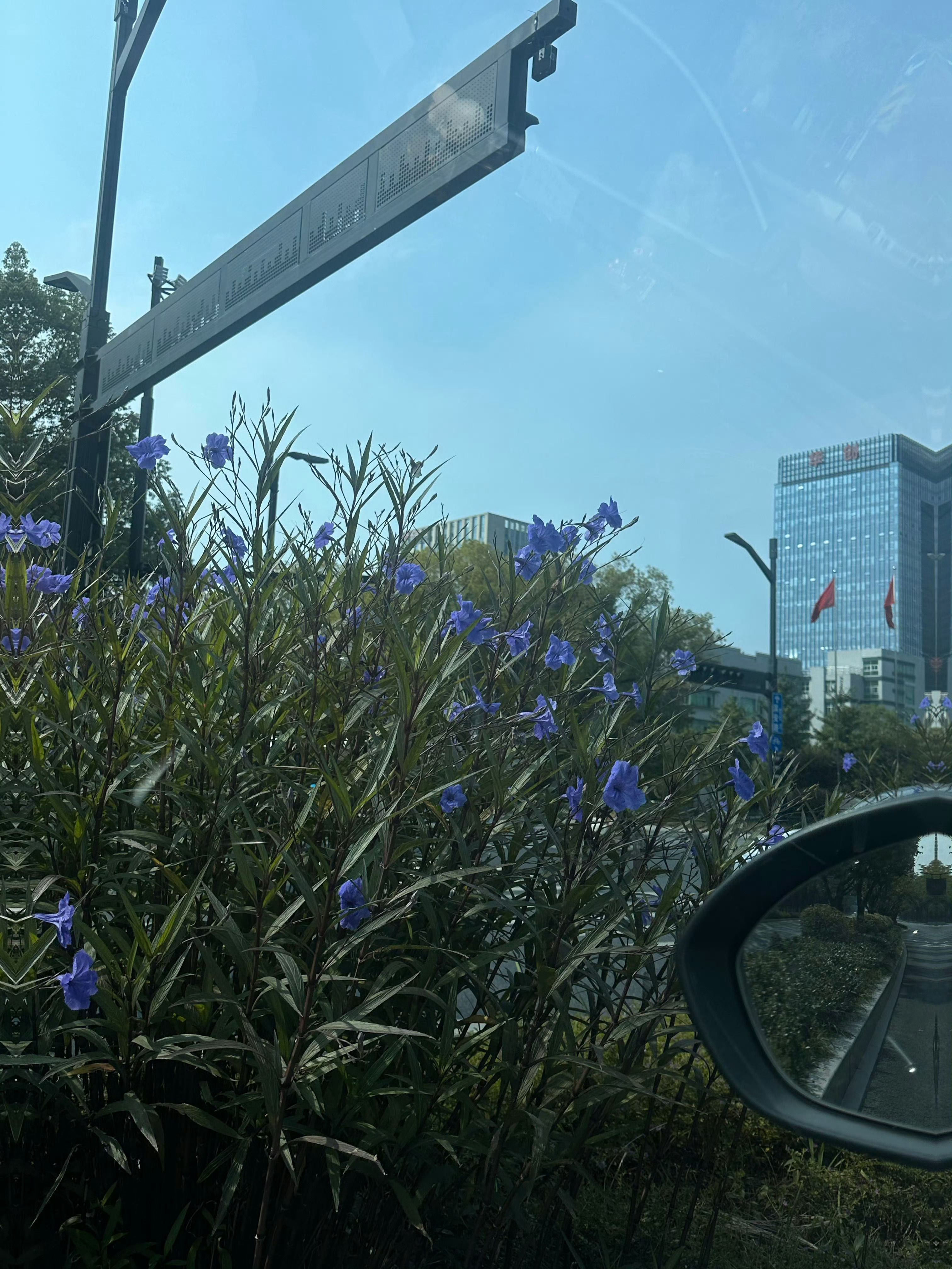 刚接个来访
学员准备和丈夫重新谈一次婚姻问题

她说两个人之前已经谈崩过好几次

丈夫虽然不再坚持离婚，也愿意正常交流，但始终不肯明确表态。她很清楚，这次不能再像以前一样，想到什么说什么

所以她来找我做了一次正式咨询

她最初准备了十几个问题，包括丈夫到底怎么想、有没有修复意愿、自己应 ​