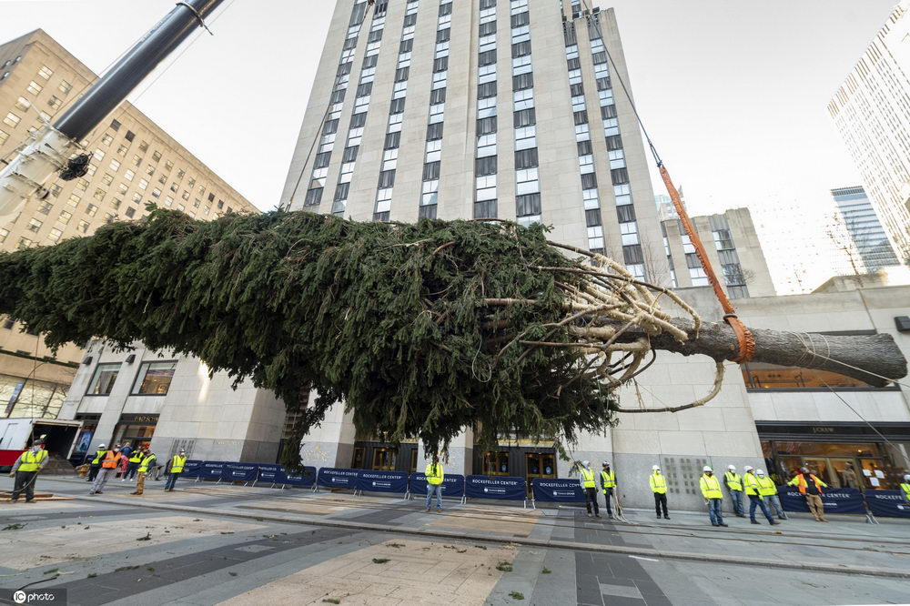 美國紐約洛克菲勒中心年度聖誕樹開始裝飾-圖5
