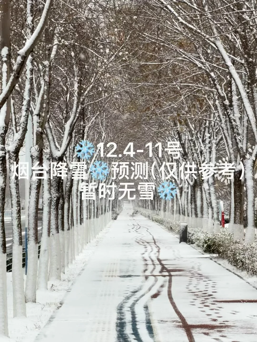 📍12.4-11号烟台降雪预测（仅供参考）