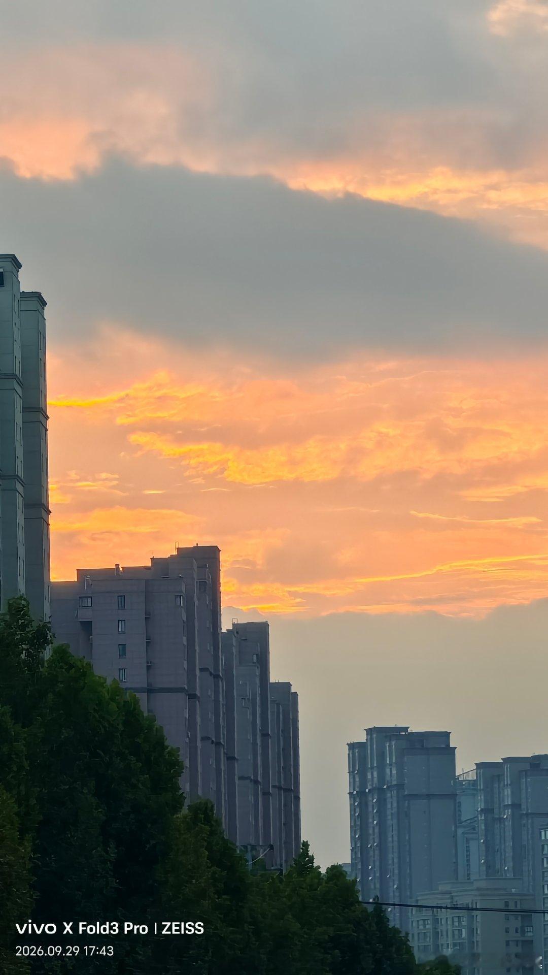十月沿着皖南的盘山公路往深处绕，车窗外的天干净得没有一丝杂色，大朵云团低低蹭过青黛色的山尖，山坳边的野金丝菊攒着明黄的花簇，风一吹就顺着坡势晃出软浪，停在观景台凭栏举手机随手定格，vivo把云边的绒光和花瓣上的细绒都稳稳接住，连风掠过时花尖的轻颤都像留在了画面里。#vivo[超话]# ​