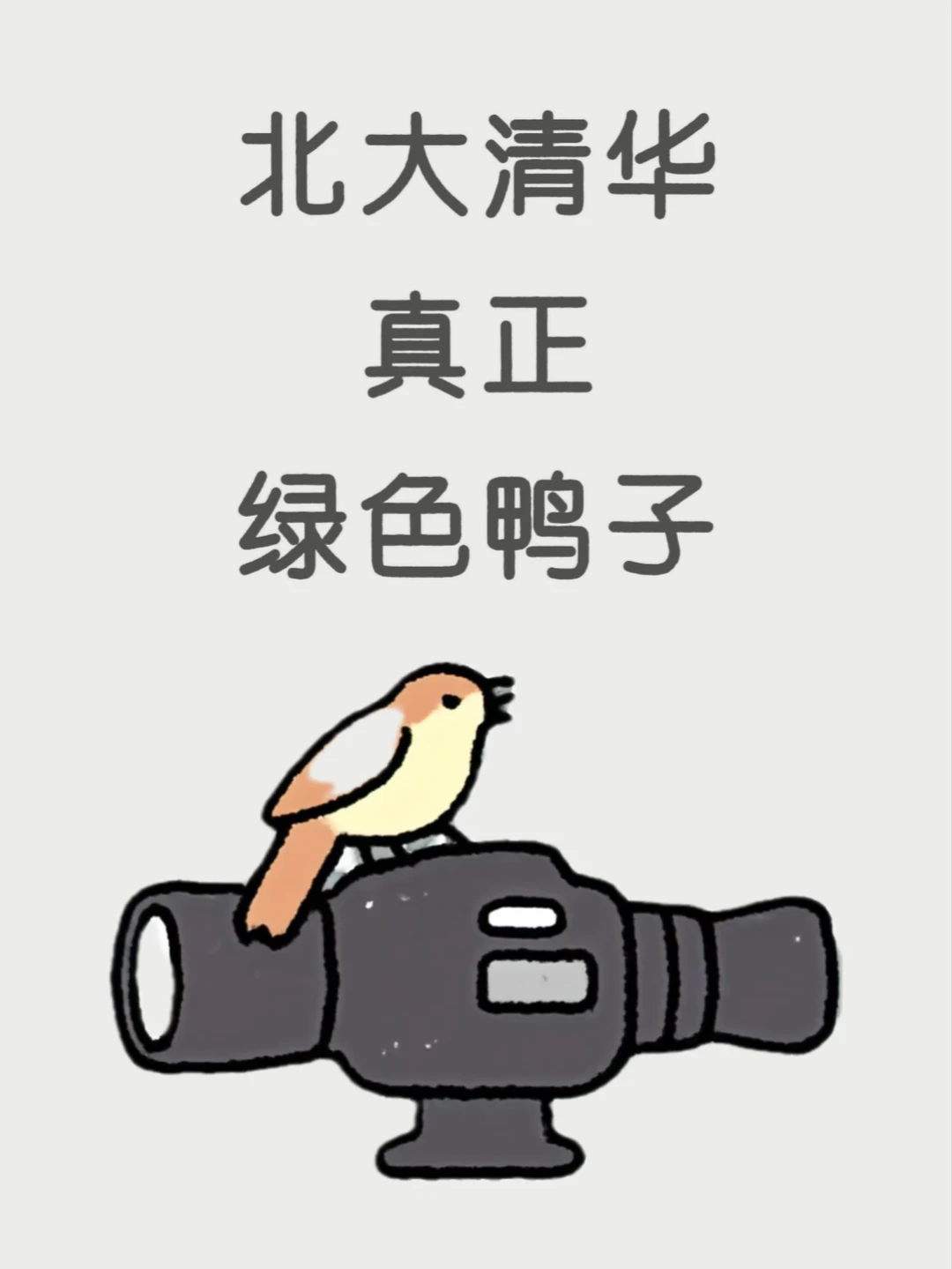 北大清华真正绿色鸭子
