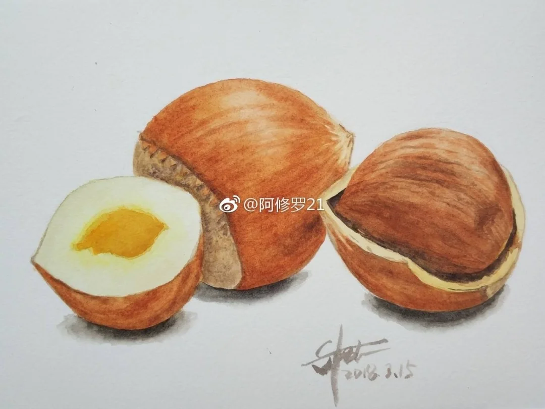水彩榛子。中间忘记拍。
