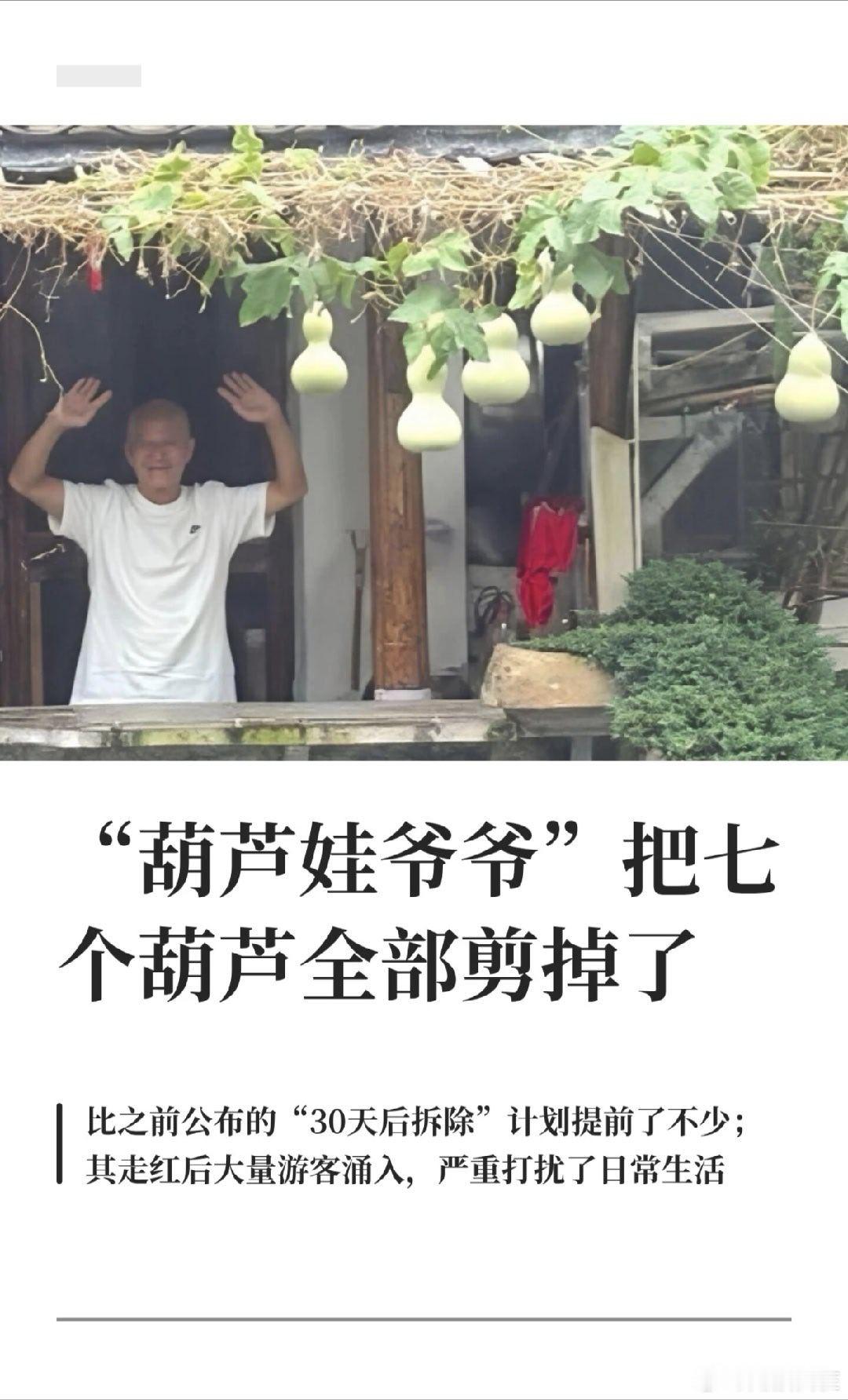 据说葫芦爷爷已经把七个葫芦都剪掉了，图二是爷爷奶奶的视角，那这日子真的没法过了，这可是他们的家，不是他们的工作场所，而且周围的邻居也一样被打扰。
人红是非多，这葫芦爷爷红了，也有网友嘴他，说他藤上本来不止七个葫芦，是他为了红，掐掉两个，蹭葫芦娃热度[允悲] ​