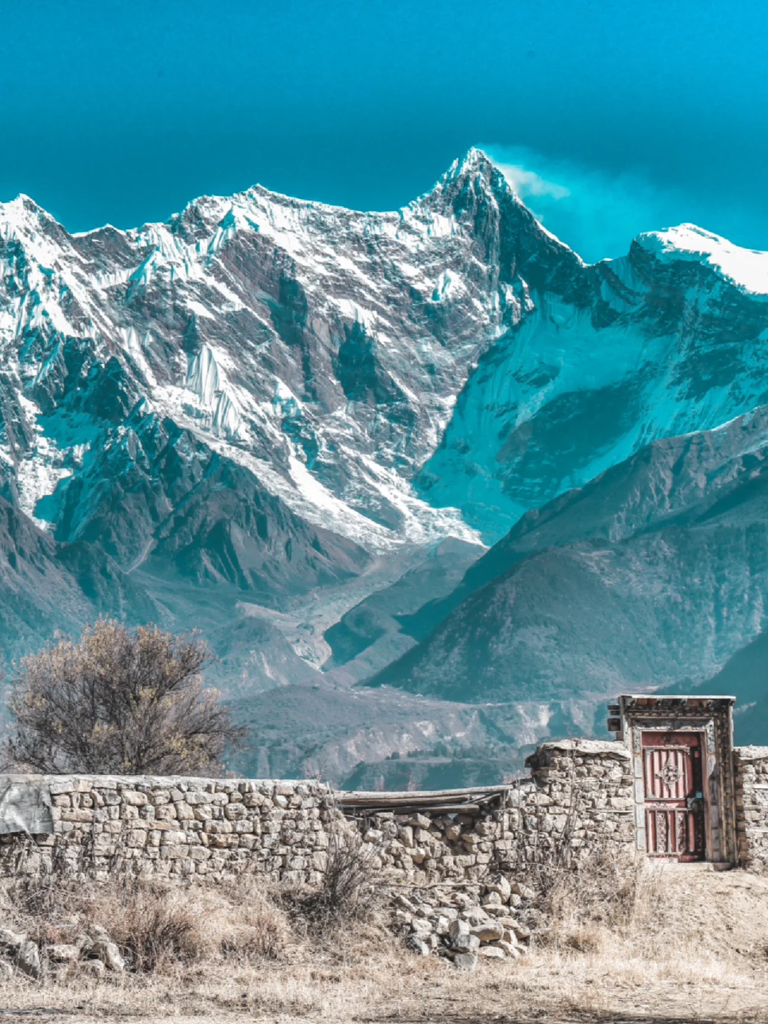 南迦巴瓦峰下的桃花