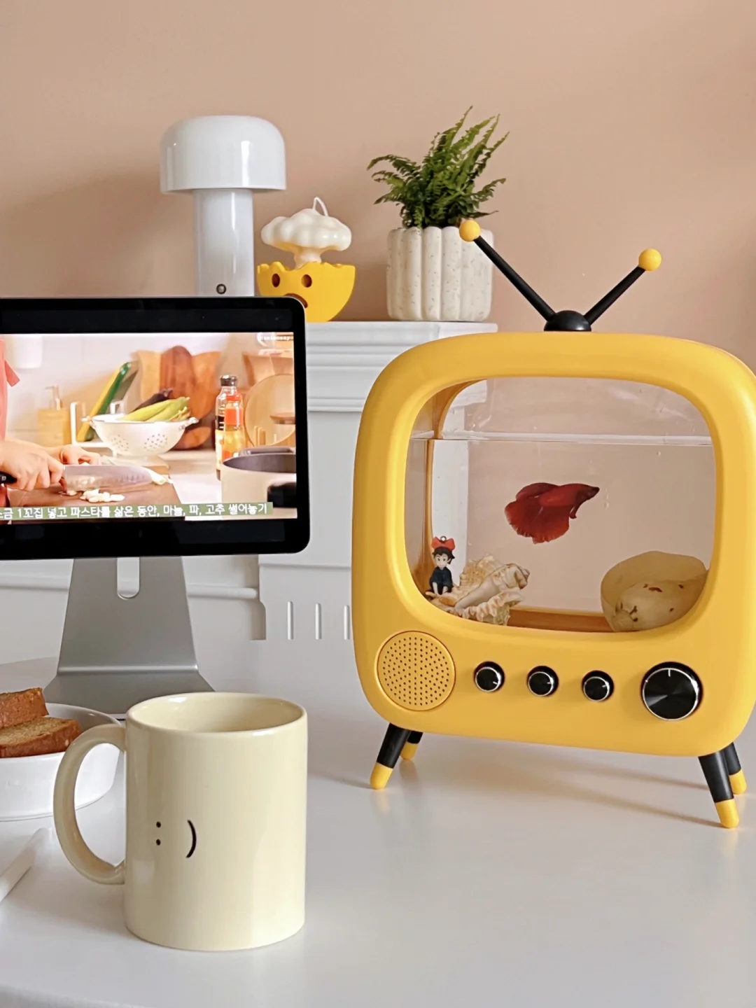 电视机鱼缸太适合新手养鱼了！