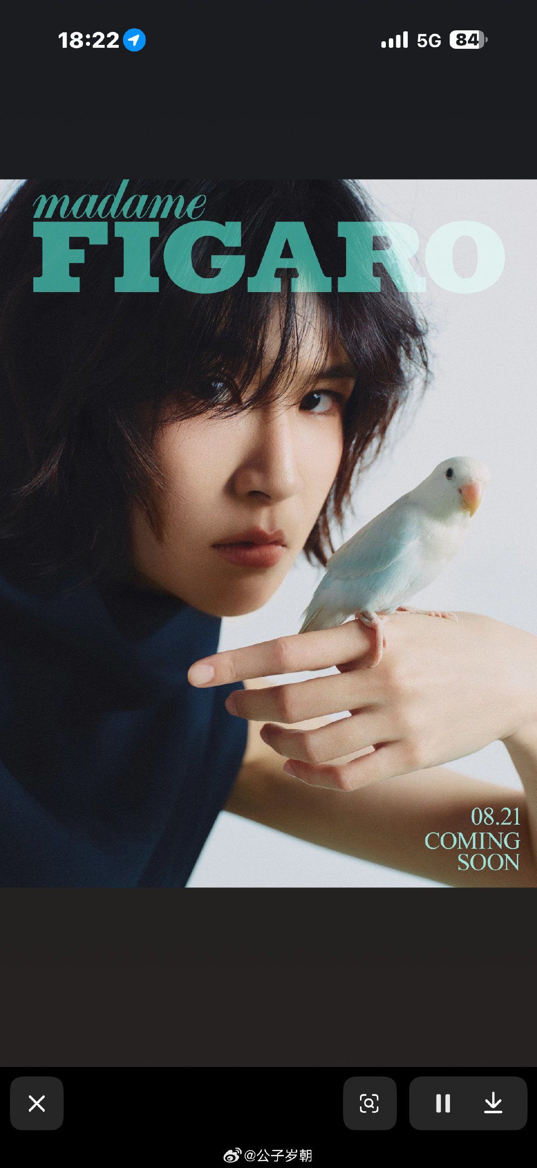 #曾沛慈[超话]#  🙊 #曾沛慈首本主流女刊费加罗# 

不敢相信明天就可以买杂志了🙊
姐姐你这两天天天营业，真是要狠狠表扬呢！
一不小心就成了标准的爱豆了~哈哈~
分享一朵狂野的云给你~今天热的离谱~但是就可以有好看的云看~
好羡慕这只🦜！

​
