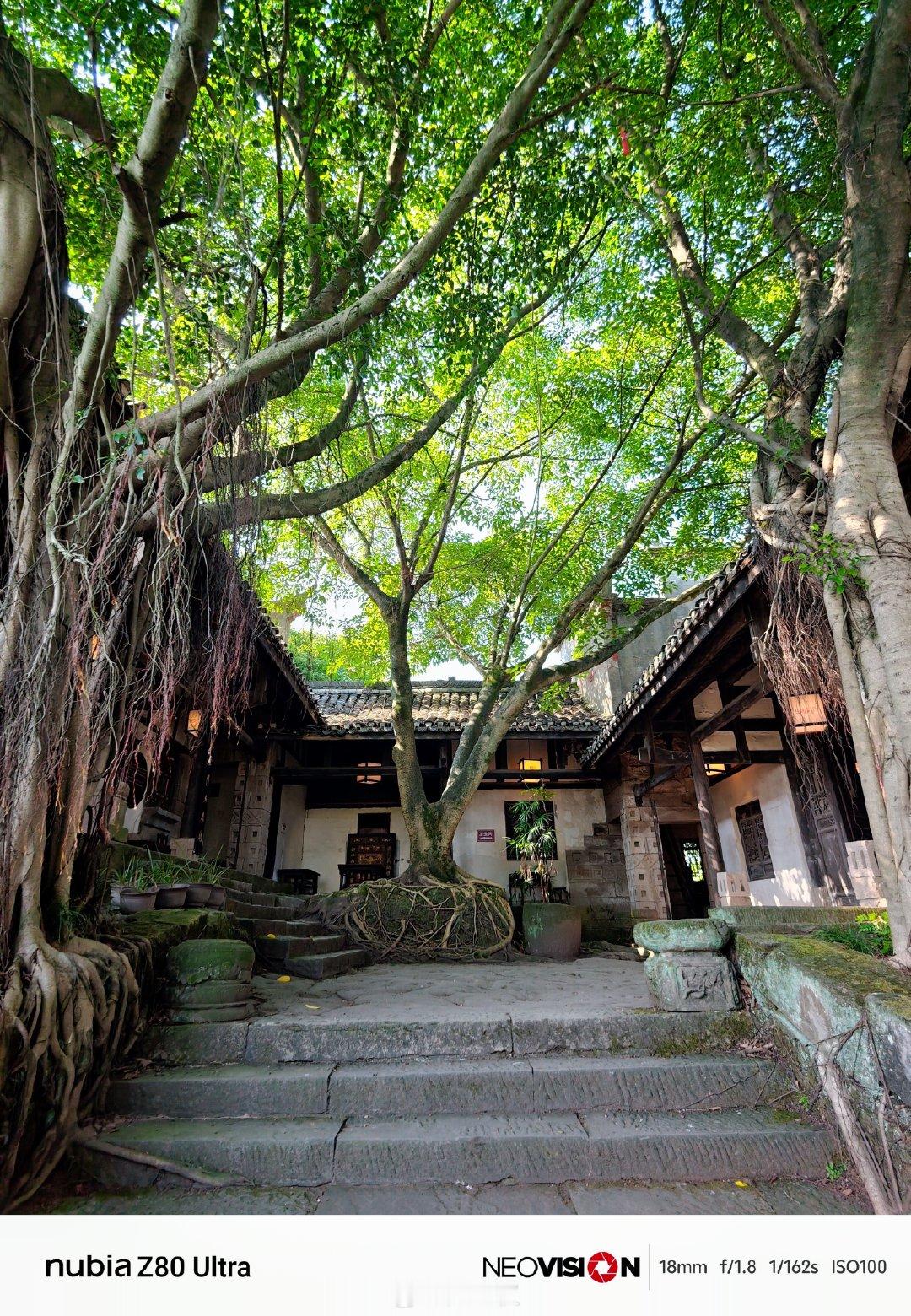 古城藏夏意，古院纳清风🌿#这里最广安##广安区文旅星推官##微博影像年##手机摄影##努比亚Z80 Ultra# ​