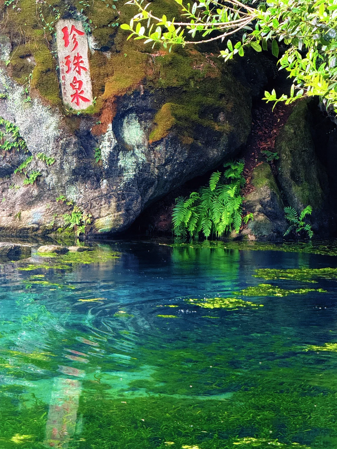 💥南京珍珠泉免费开放啦！还有非遗打铁花