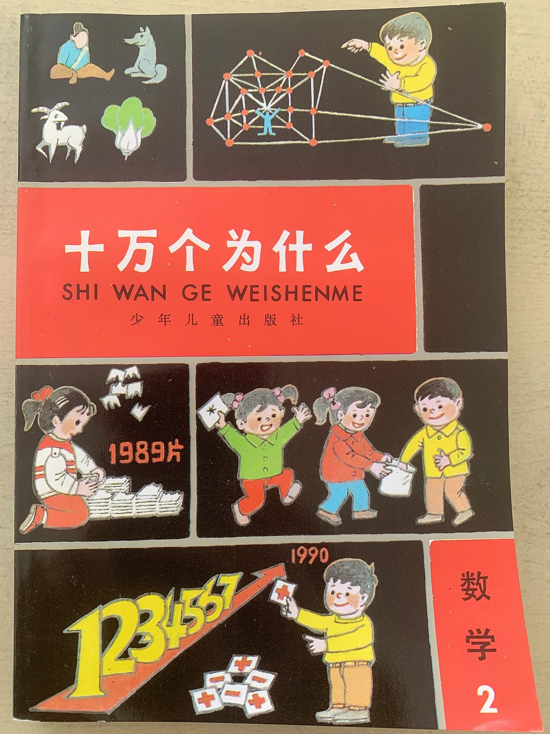 数学册，能看懂这个的应该不是小学生水平吧