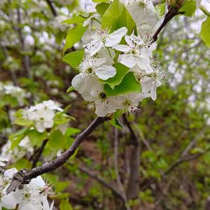 山谷听泉嘚闲人