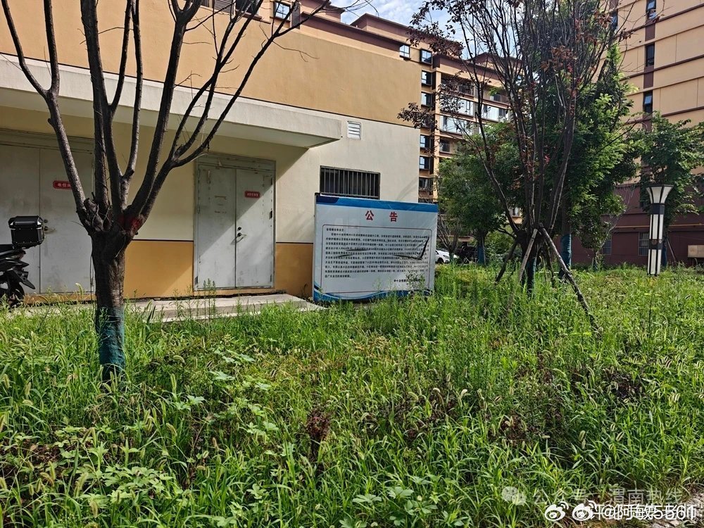 #评论员李老师##华阴市[超话]#一小区两物业乱象丛生，监管缺位岂能放任民生失序
 
本该服务居民、守护小区秩序的物业公司，反倒成了小区乱象的源头。近日，陕西华阴市金福缘小区被业主曝光，小区内同时存在两家物业公司，双方长期争夺管理权限、权责交叉推诿，直接导致小区治理全面瘫痪，诸多民生隐患 ​