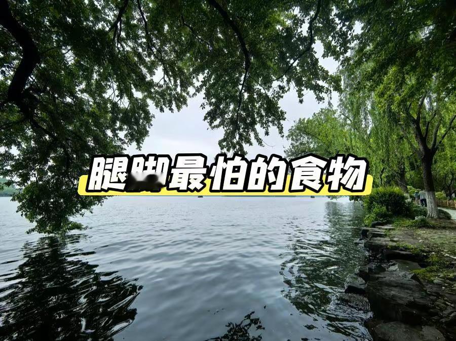 中国男篮89-87两分险胜黎巴嫩，杨瀚森2.2秒准绝杀，拿下两连胜。男篮世预赛 中国男篮 杨瀚森 男篮险胜黎巴嫩