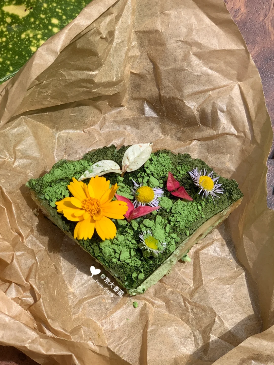 抗氧低卡甜品 |栽一盆梦境里的绿野仙踪🌷🌿