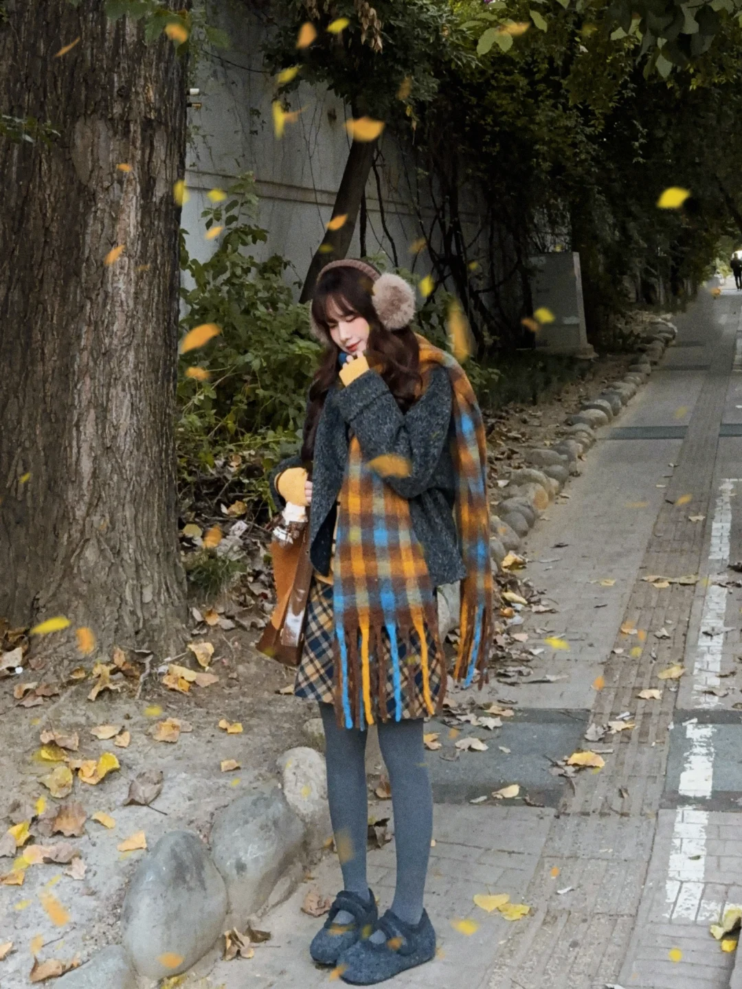 成都 又是一年秋🍂