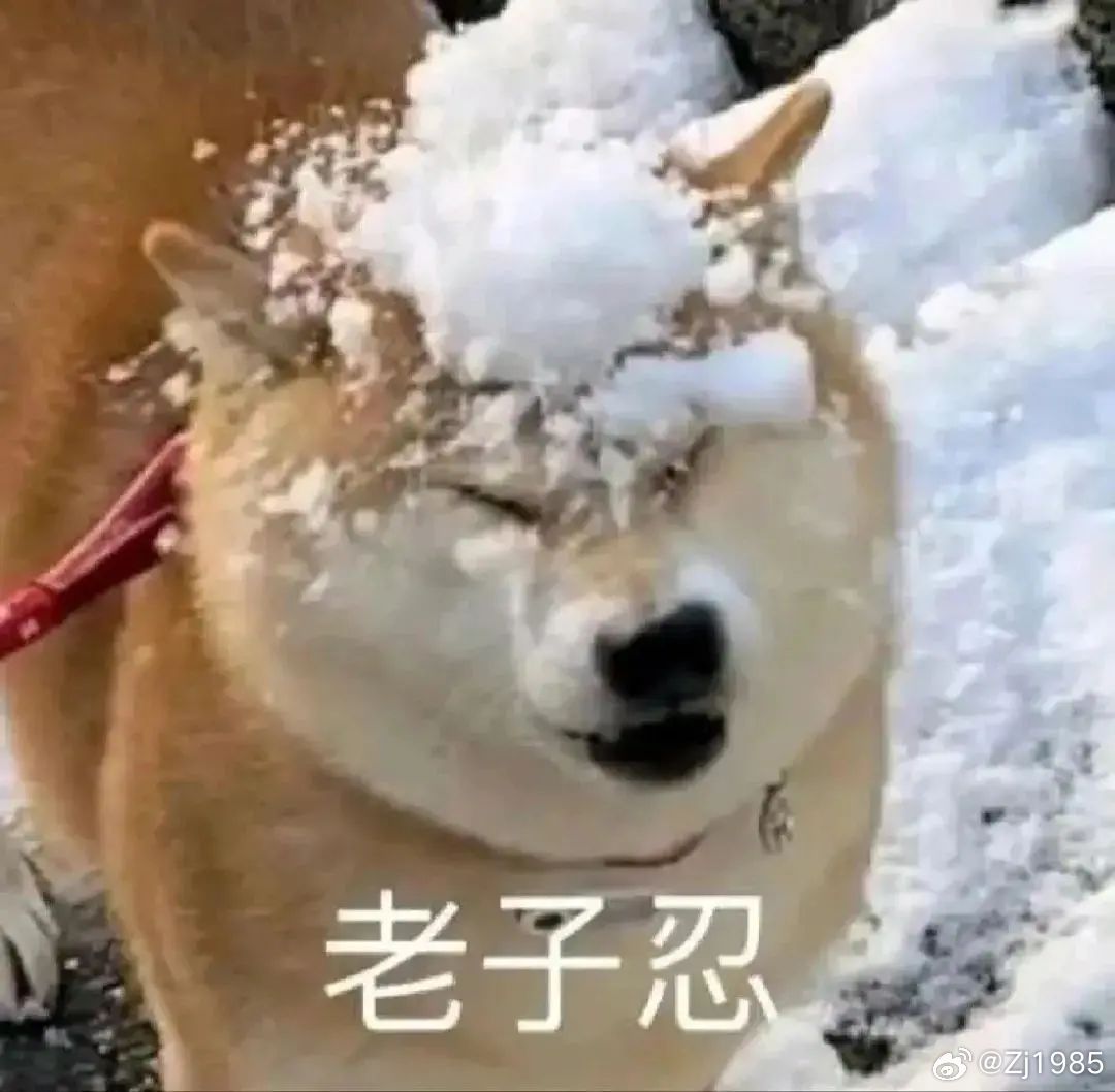 #手机涨价后6成网友倾向闲鱼等平台买老款##手机涨价你会买99新老款机吗# 同样的预算，买新机只能摸到中端配置，选择状态不错的上代，直接就能拿到旗舰级的使用体验。 ​