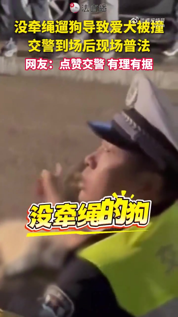 大快人心：未牵狗绳一律按野狗处理
 近日江苏发生一起遛狗纠纷，一名市民出门遛狗没有牵绳，狗狗冲上道路被车辆撞击。交警现场普法，一句话赢得大量网友点赞：牵绳的宠物狗被撞，肇事方承担相应赔偿；未牵绳的狗一律按野狗处理。如果因为狗狗突然窜出造成车辆受损，狗主人还要承担修车费用。
    这段现场普法，直击