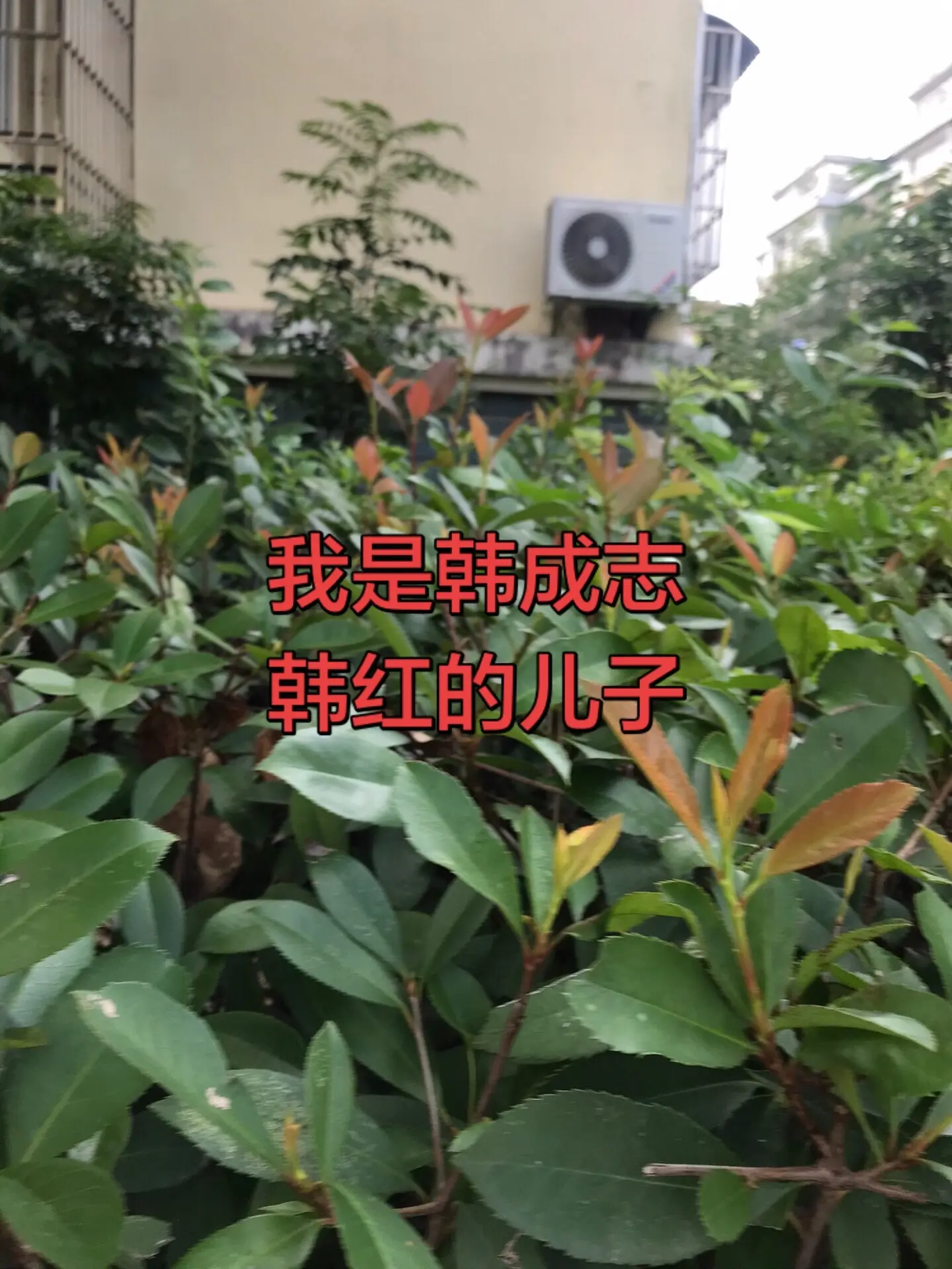 【现场直击:文班亚马超远三分】这恐怖的射程！加时关键时刻马刺落后3分，文班刚过半场直接出手超远3分板平分！NBA季后赛马刺VS雷霆