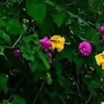 阳光信用  别再关心灵魂了，那是神明的事。你所能做的，就是做好你生活中...