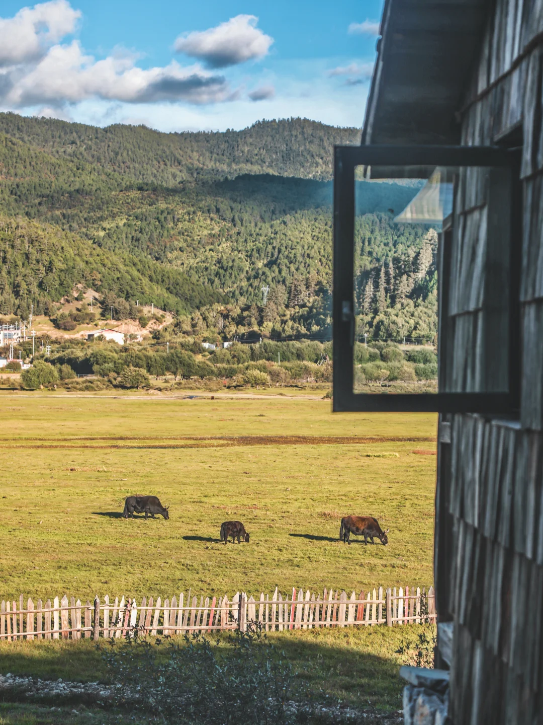 在香格里拉·躺进梦里的诗和远方👍