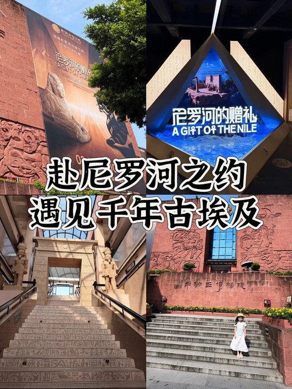 赴尼罗河之约✨广州看古埃及真迹太震撼