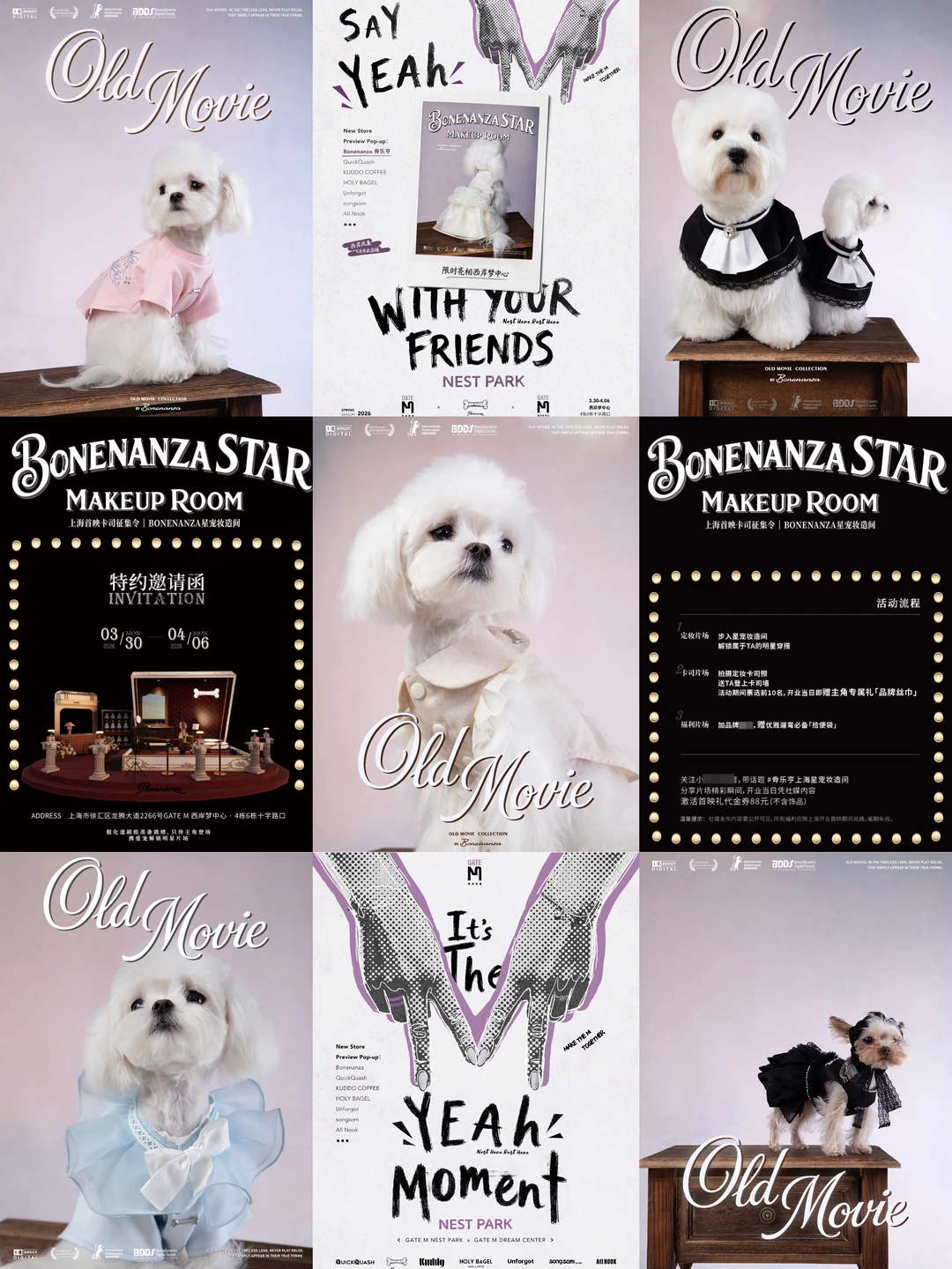 铲屎官速冲🎬西岸宠物复古片场即将开幕