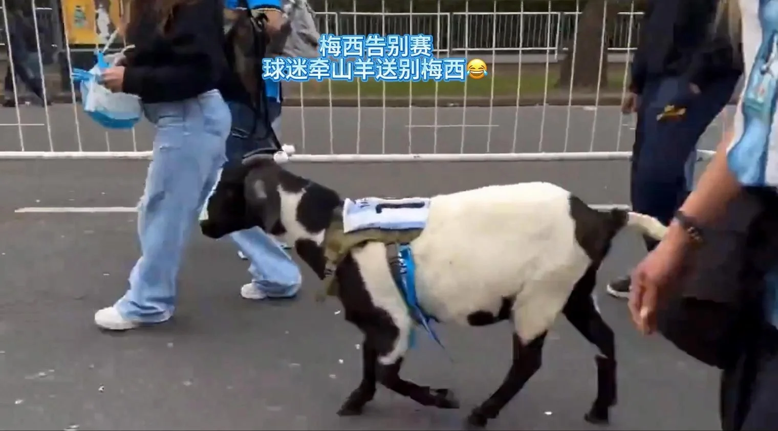 真 GOAT 到场🔥球迷牵山羊送梅西😂