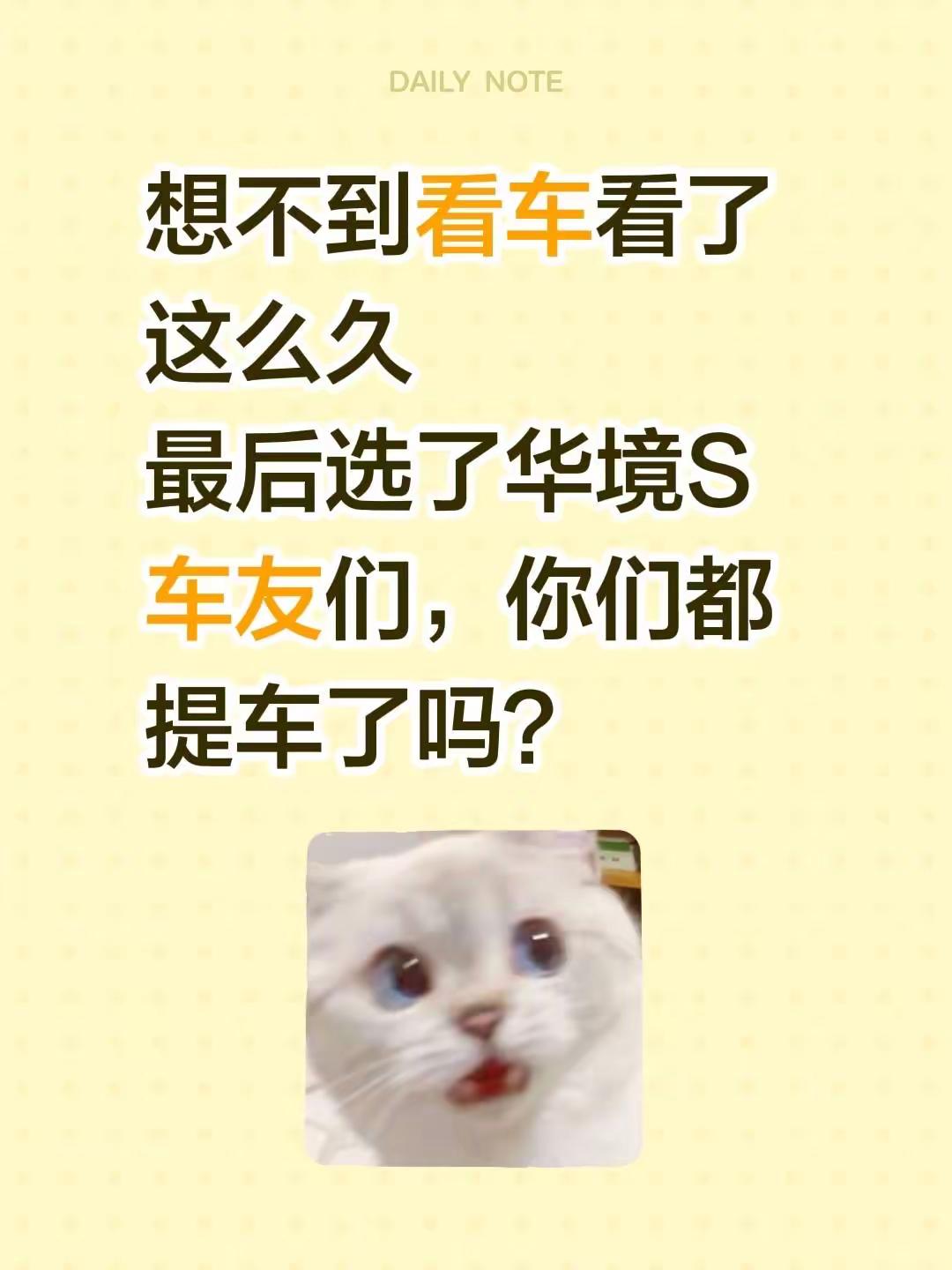没想到选来选去还是选了华境S，车友们，你们都提车了吗？！华境S 群 华境S车友