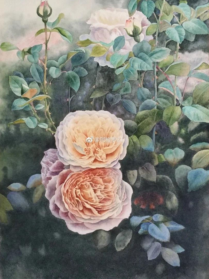 临摹黄有维老师的玫瑰