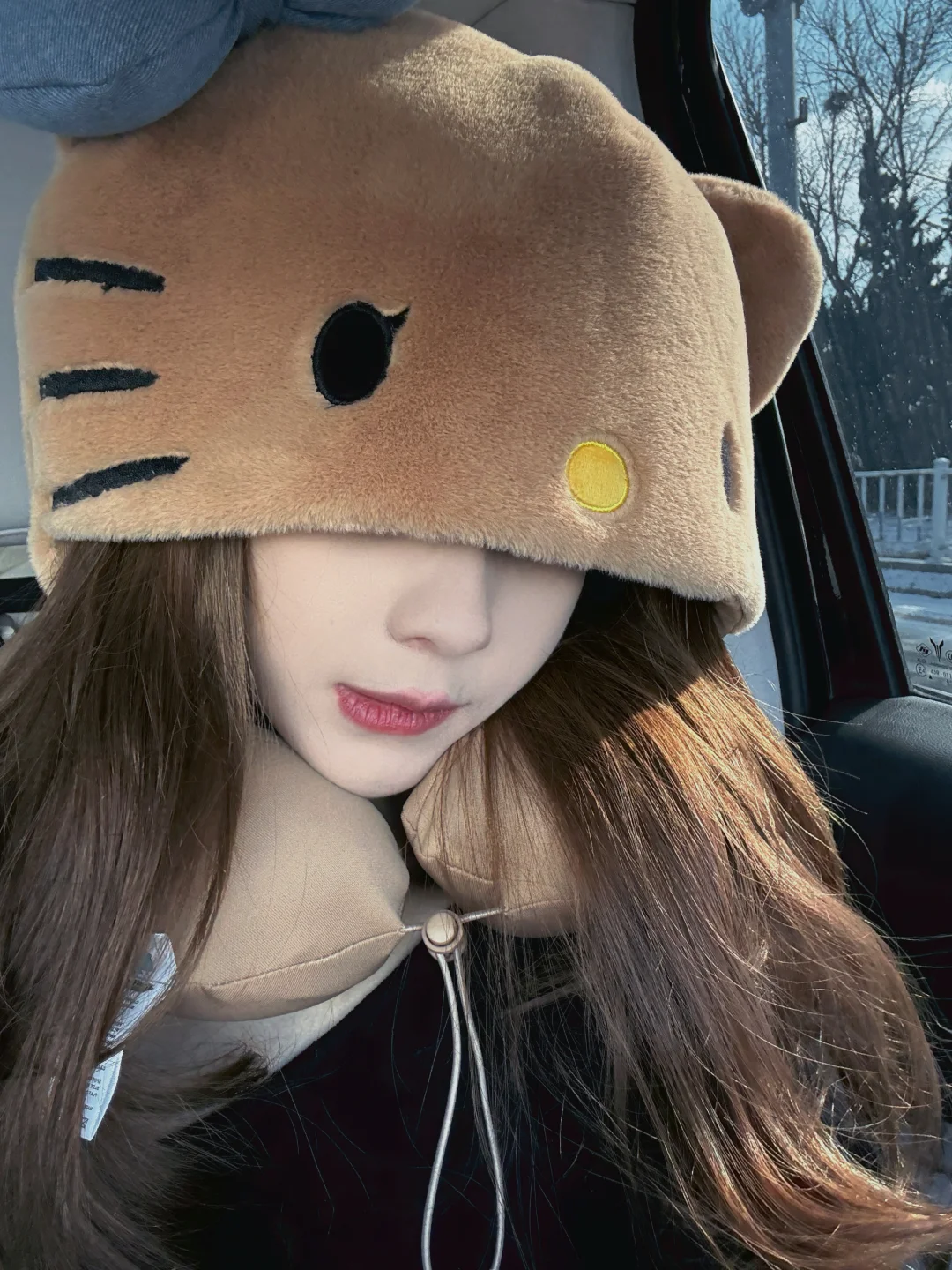 ˙ᵕ˙☁️ ✩‧ ₊ 🫐