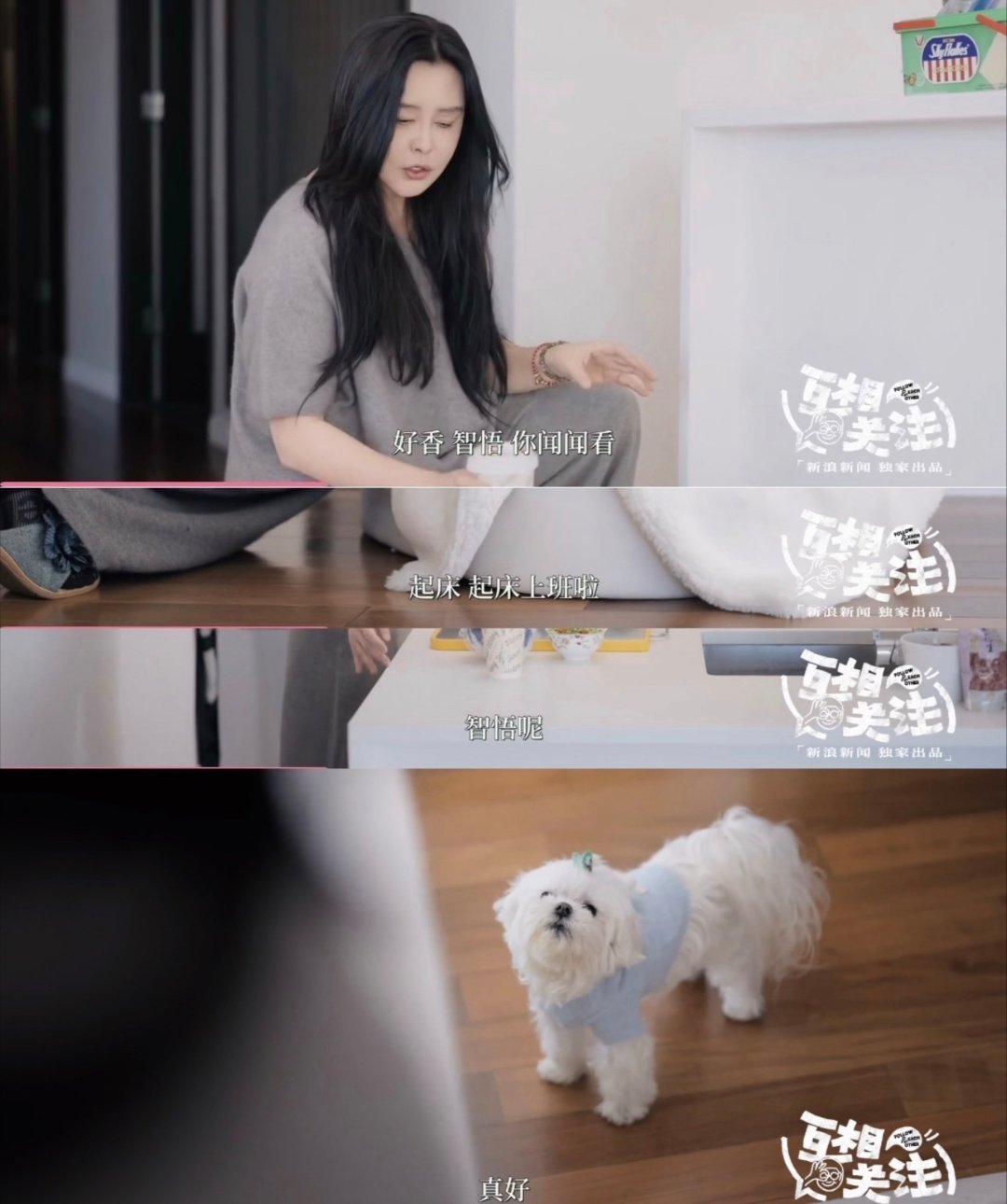 #王祖贤养狗前先问狗的意见##互相关注# 
狗狗咋同意的？？？[无聊] ​