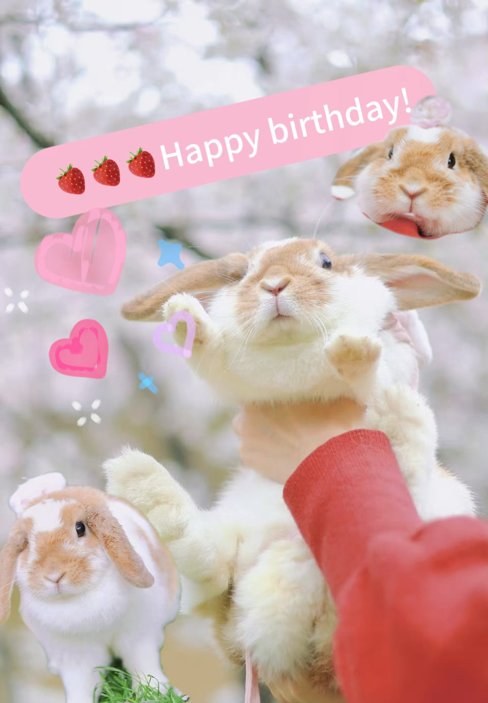三岁快乐🎉小猪 拍的图被征用 ​​​