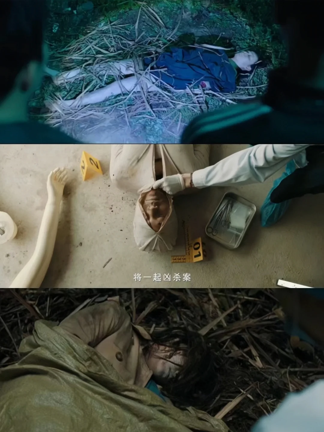 终于来了❗双男主悬疑追凶❗四宗犯罪单元案