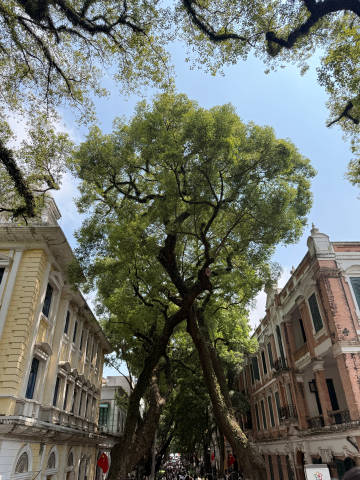 📍沙面—药材市场—上下九—华林寺—鹭江—广州塔<br /><br ...